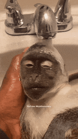 Acid GIFs, January 9 (25 gifs) Acid GIFs, January 9 (25 gifs)