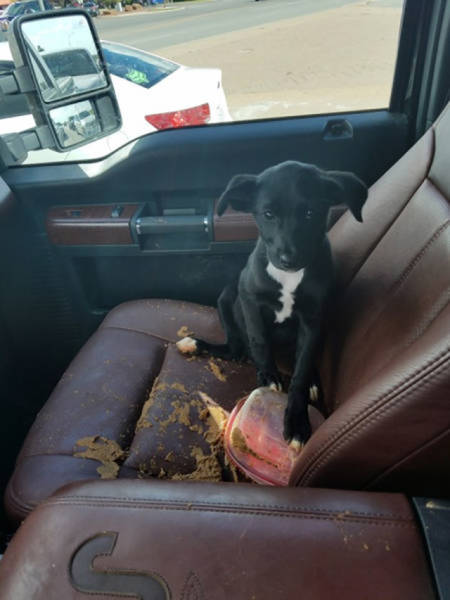 Unfortunate Situations (25 pics)