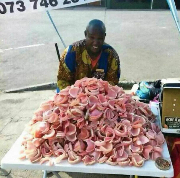 What Is Going On Here? (21 pics)