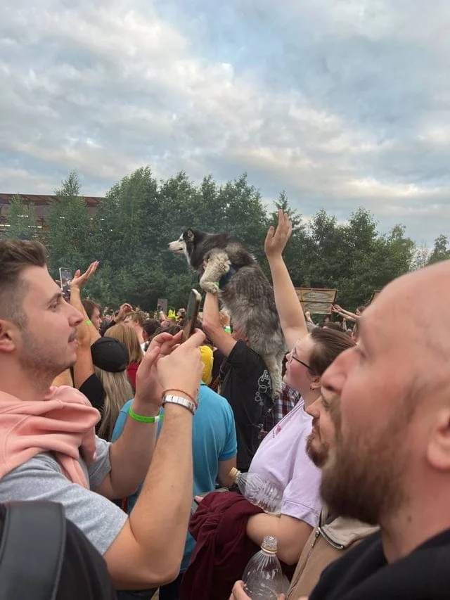 What Is Going On Here? (21 pics)