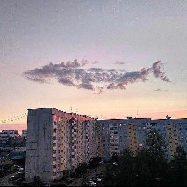 This Is Pareidolia (19 pics)