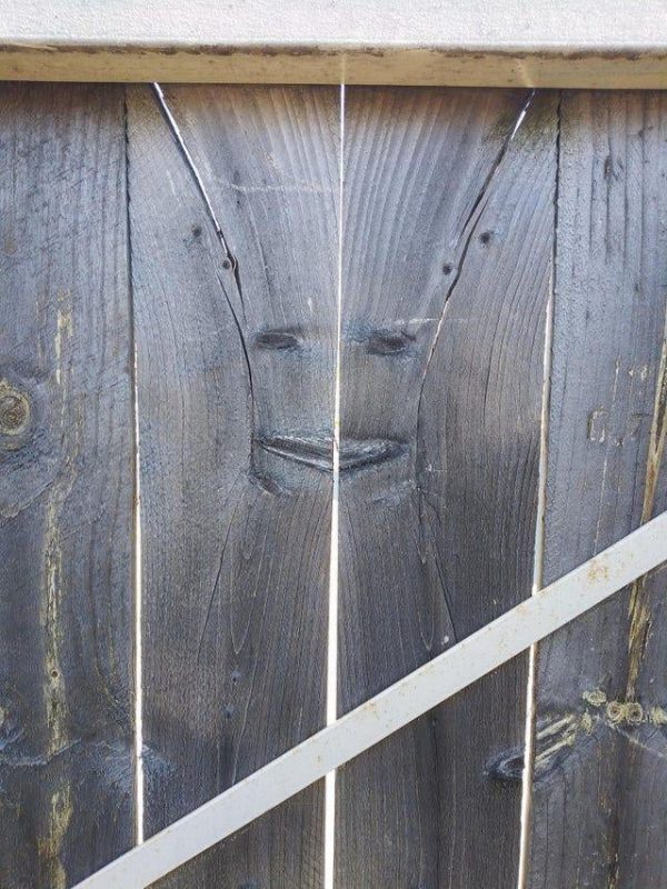 This Is Pareidolia (19 pics)