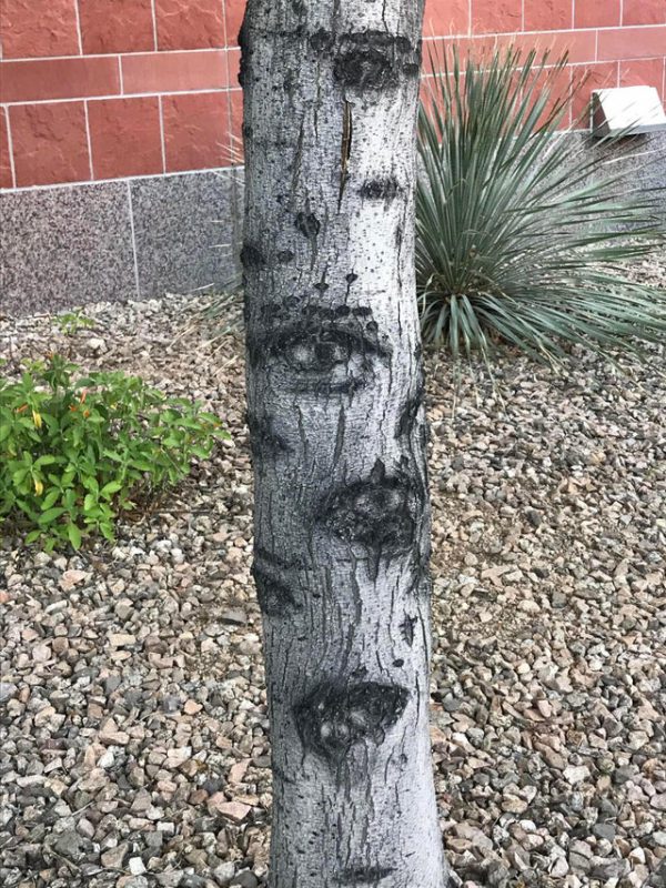 This Is Pareidolia (19 pics)