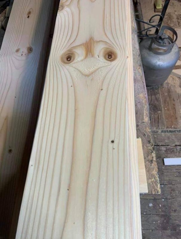 This Is Pareidolia (19 pics)