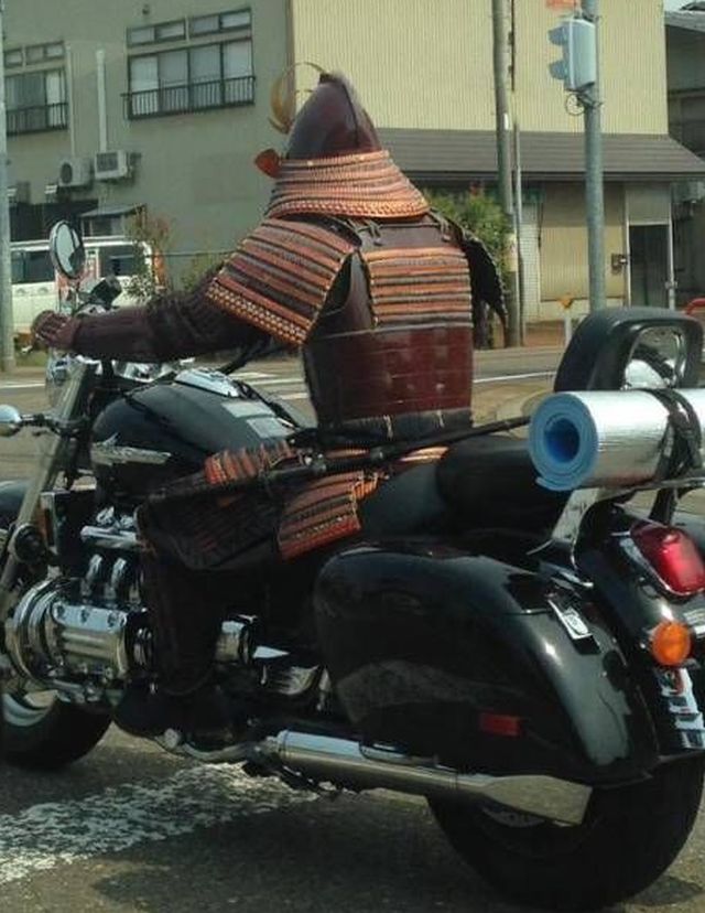 Daily Pictures. Part 1 (63 pics)