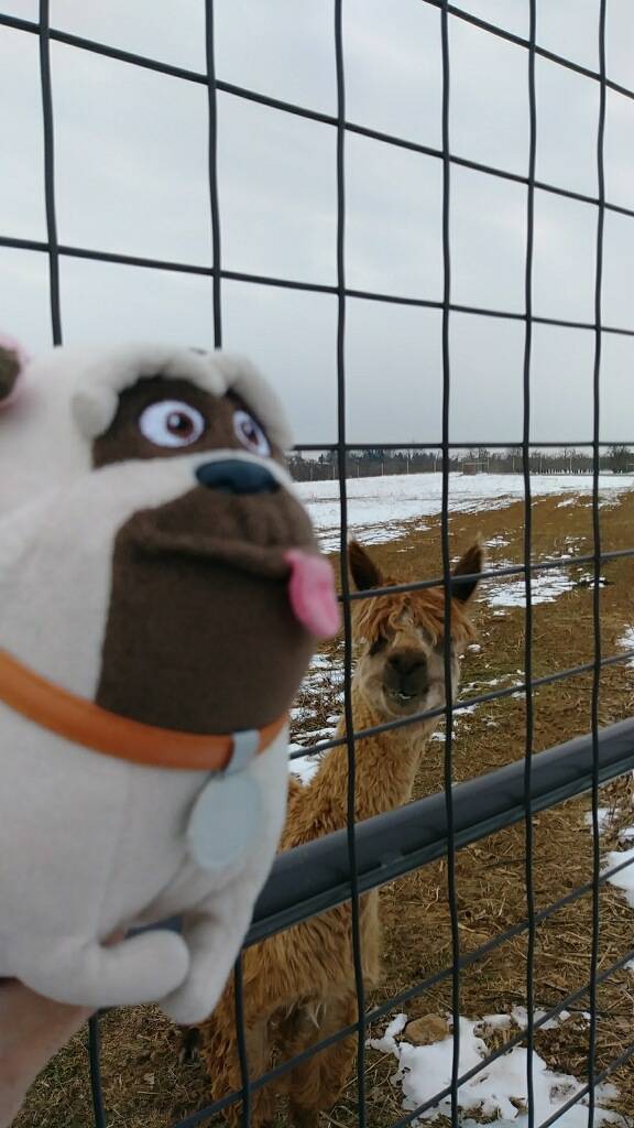 Daily Pictures. Part 1 (63 pics)