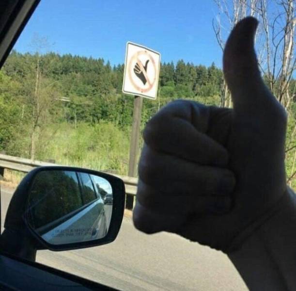 Daily Pictures. Part 1 (63 pics)