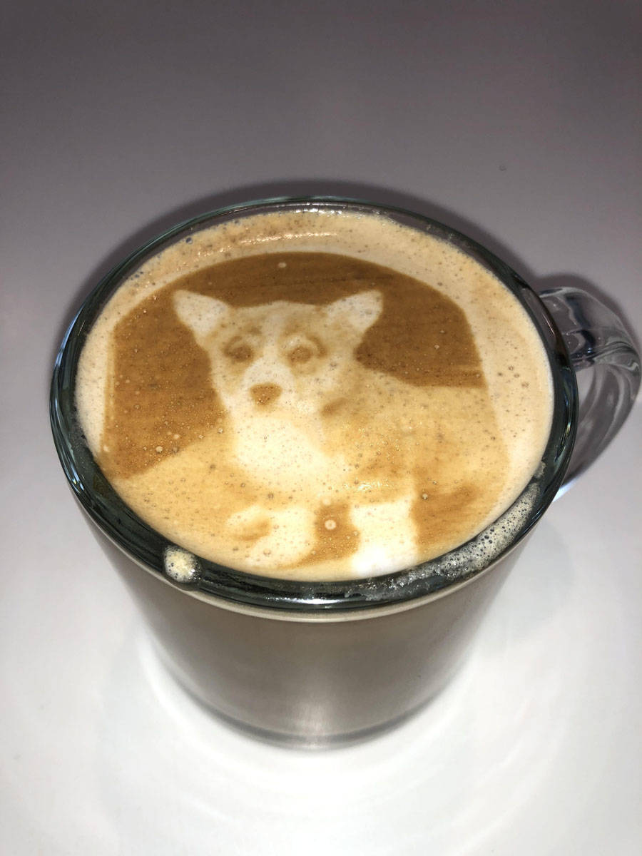 Daily Pictures. Part 1 (63 pics)