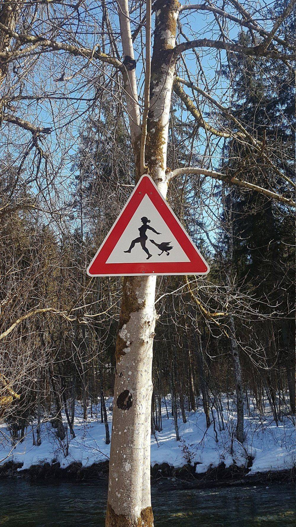 Daily Pictures. Part 1 (63 pics)