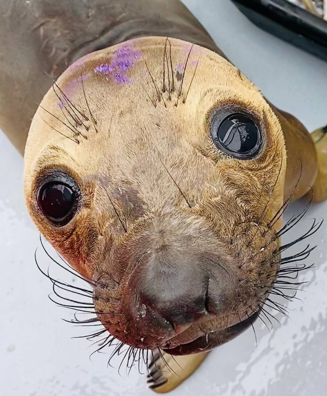 Daily Pictures. Part 1 (63 pics)