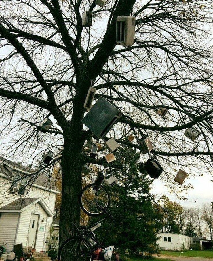 Daily Pictures. Part 2 (62 pics)