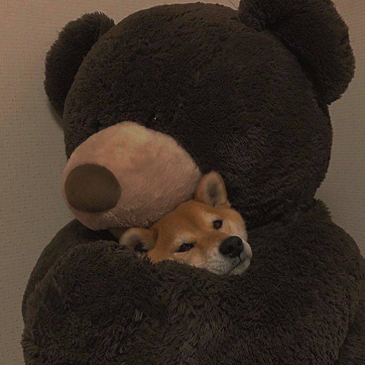 Daily Pictures. Part 2 (62 pics)