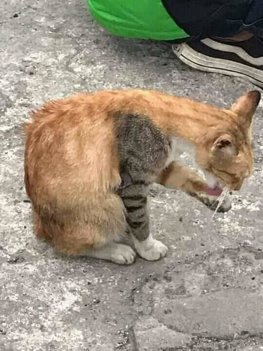 Daily Pictures. Part 1 (63 pics)