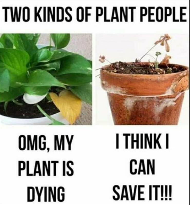 Daily Pictures. Part 2 (62 pics)