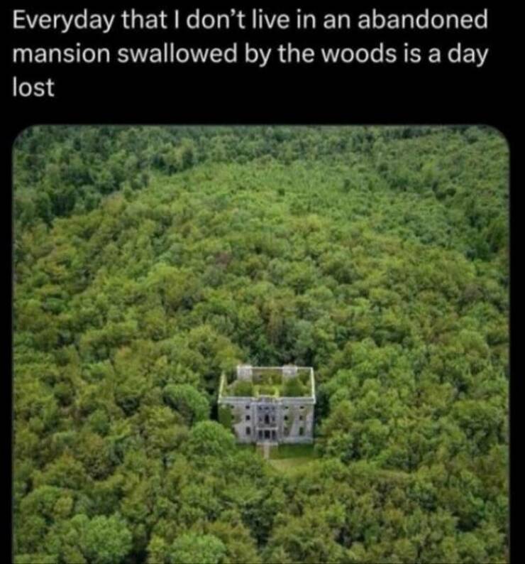 Daily Pictures. Part 2 (62 pics)