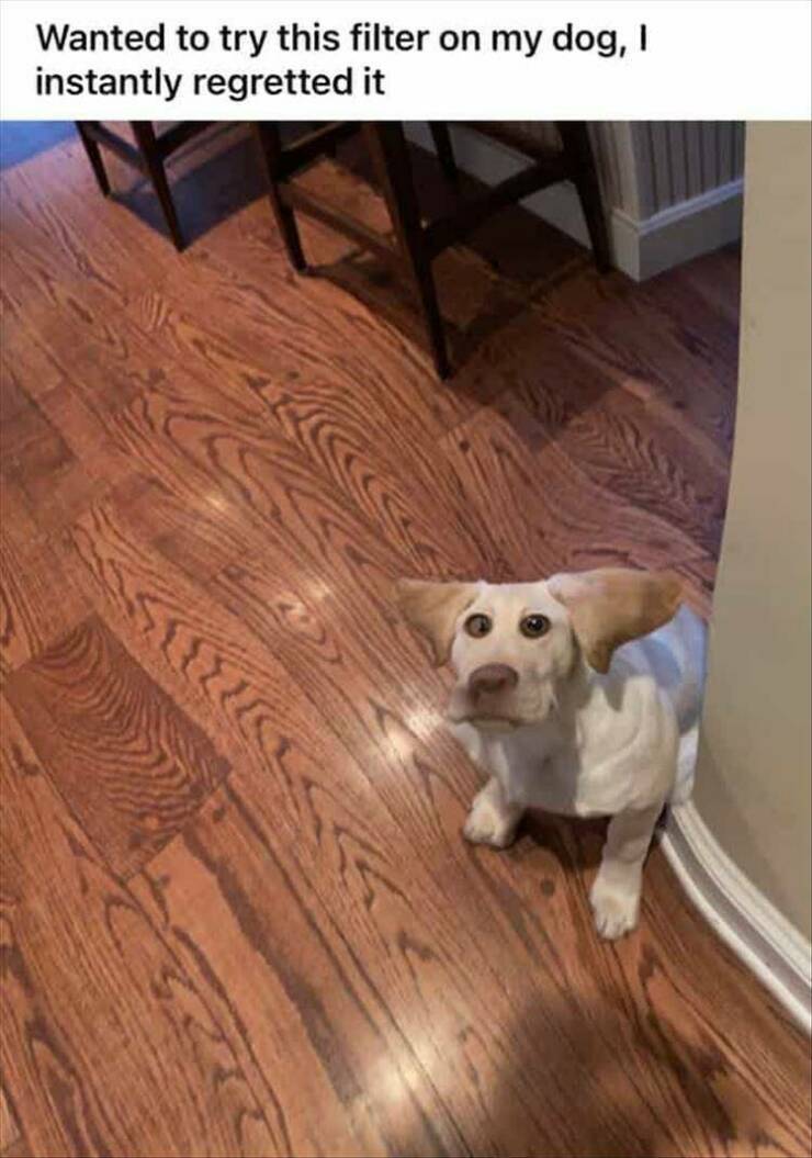 Daily Pictures. Part 2 (62 pics)