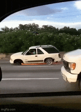 Acid GIFs, January 12 (25 gifs)