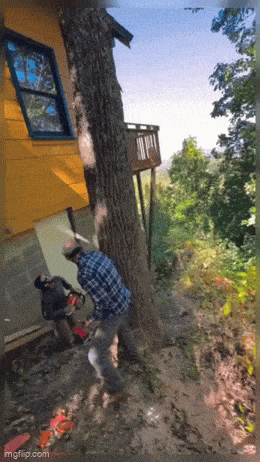 Acid GIFs, January 12 (25 gifs)