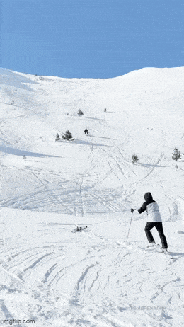 Acid GIFs, January 12 (25 gifs)