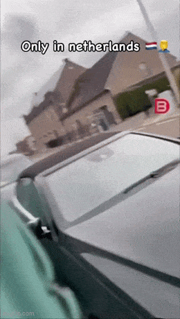 Acid GIFs, January 12 (25 gifs)