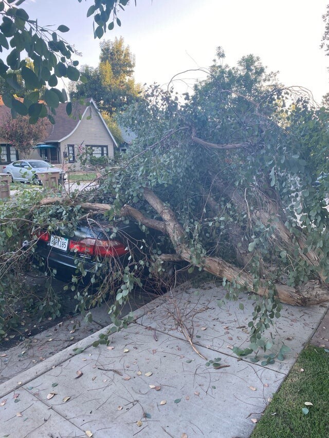 Bad Days Happen (29 pics)