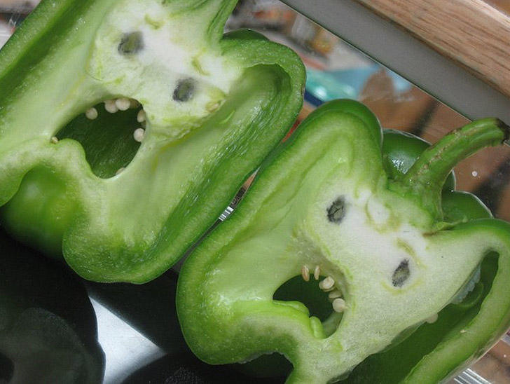 This Is Pareidolia (14 pics)
