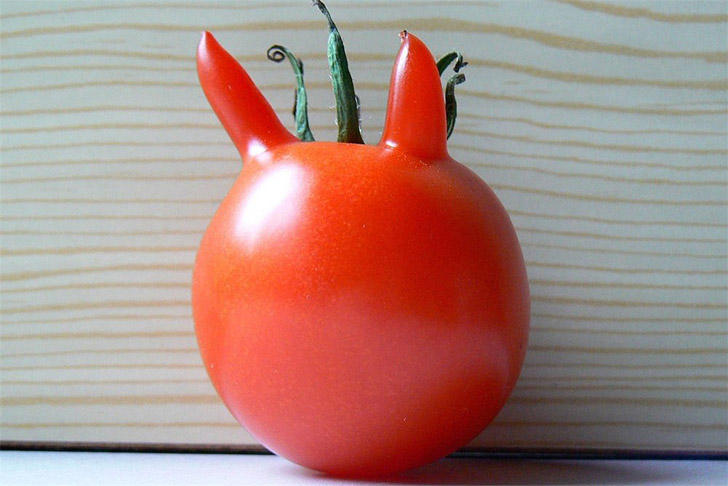 This Is Pareidolia (14 pics)