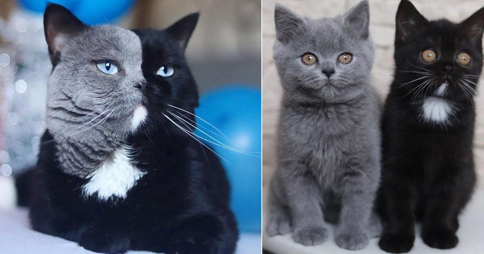 Photos For Perfectionists (23 pics)