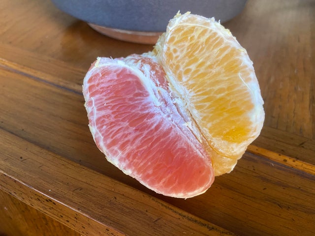 Photos For Perfectionists (23 pics)