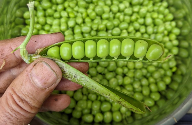 Photos For Perfectionists (23 pics)