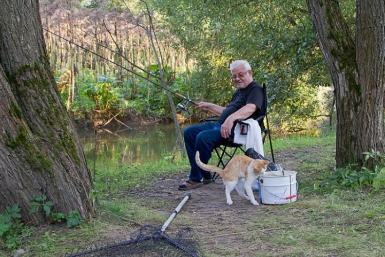 Daily Pictures. Part 1 (63 pics) Daily Pictures. Part 1 (63 pics)