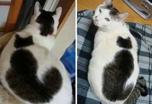 Daily Pictures. Part 1 (63 pics) Daily Pictures. Part 1 (63 pics)