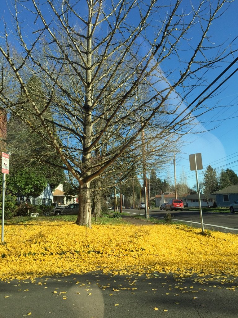 Daily Pictures. Part 1 (63 pics) Daily Pictures. Part 1 (63 pics)