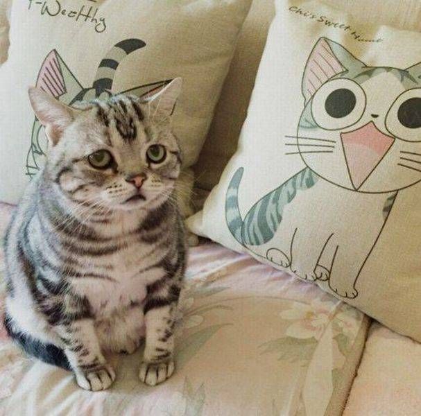 Daily Pictures. Part 1 (63 pics) Daily Pictures. Part 1 (63 pics)