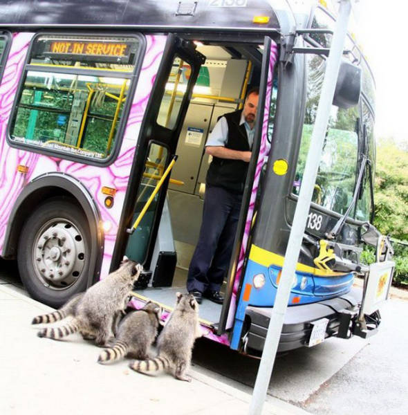 Daily Pictures. Part 1 (63 pics) Daily Pictures. Part 1 (63 pics)