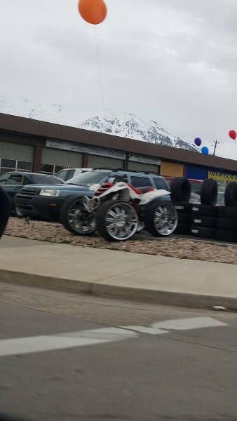 Daily Pictures. Part 1 (63 pics) Daily Pictures. Part 1 (63 pics)