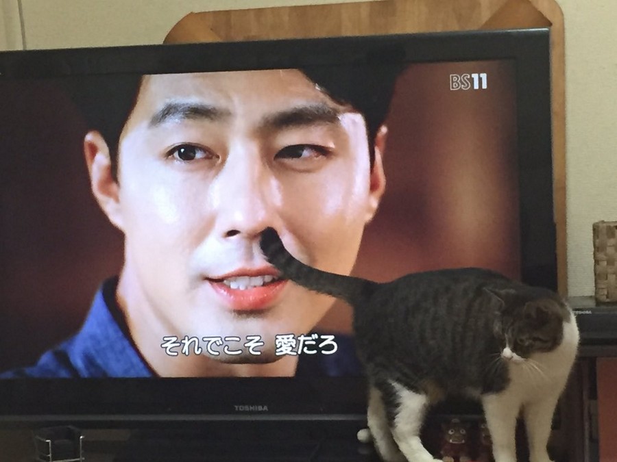 Daily Pictures. Part 1 (63 pics) Daily Pictures. Part 1 (63 pics)