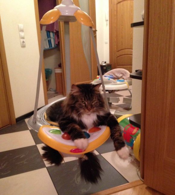 Daily Pictures. Part 1 (63 pics) Daily Pictures. Part 1 (63 pics)