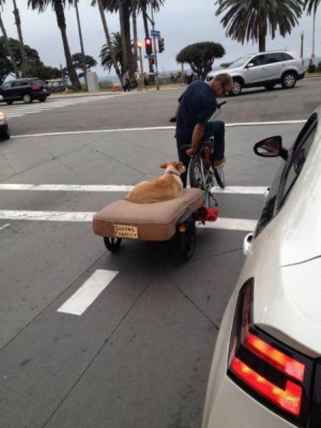 Daily Pictures. Part 2 (62 pics)