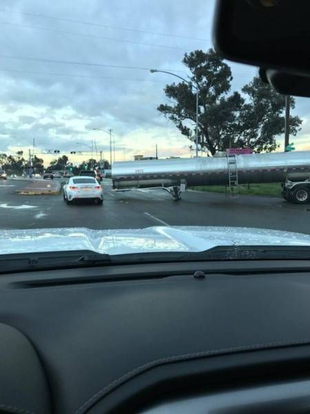 Daily Pictures. Part 2 (62 pics)