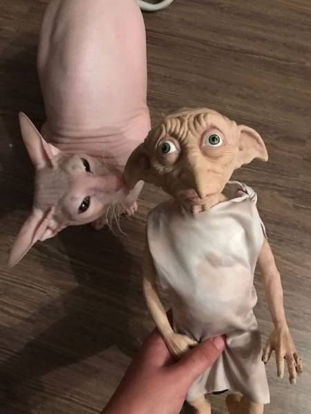 Daily Pictures. Part 1 (63 pics) Daily Pictures. Part 1 (63 pics)