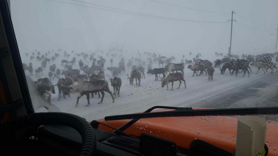 Daily Pictures. Part 2 (62 pics)