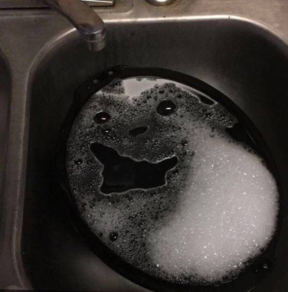 Daily Pictures. Part 1 (63 pics) Daily Pictures. Part 1 (63 pics)