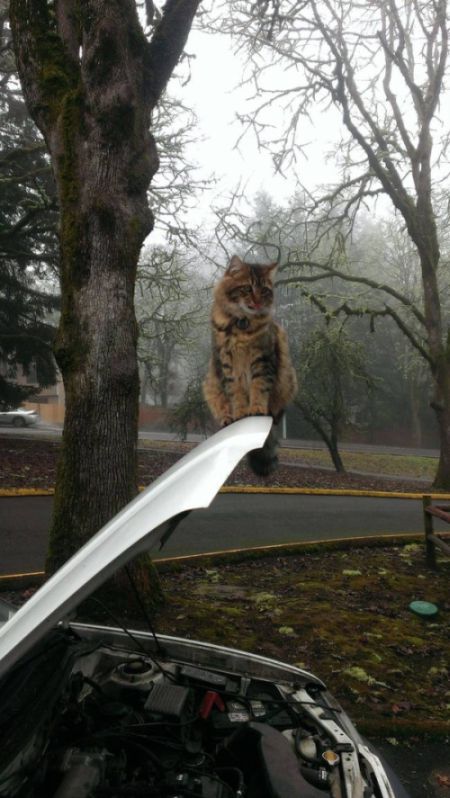 Daily Pictures. Part 1 (63 pics) Daily Pictures. Part 1 (63 pics)