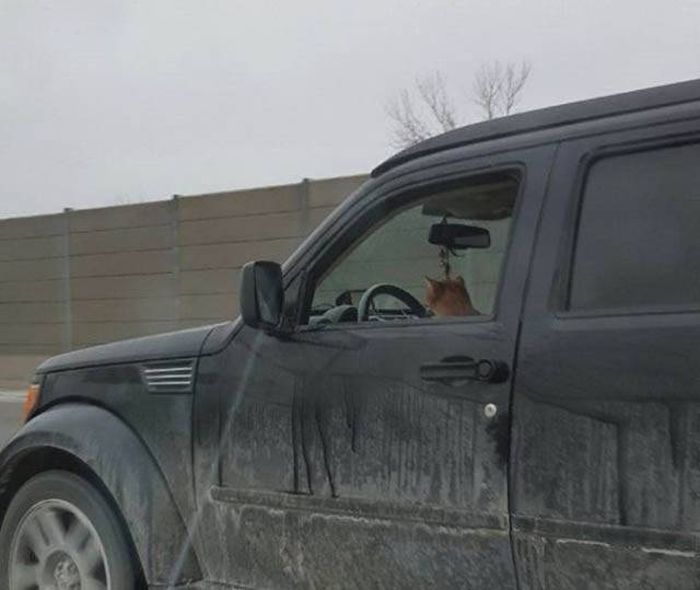 Daily Pictures. Part 1 (63 pics) Daily Pictures. Part 1 (63 pics)