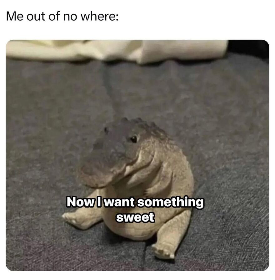 Daily Pictures. Part 2 (62 pics)