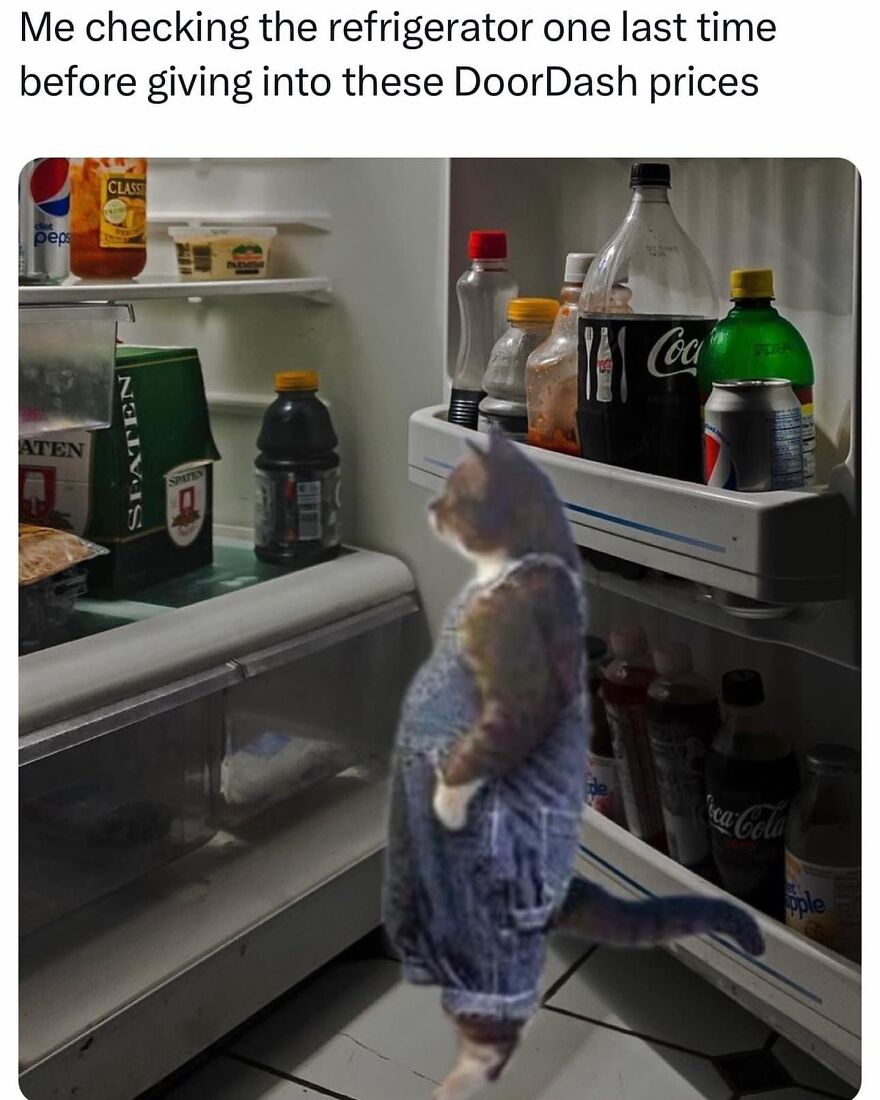 Daily Pictures. Part 2 (62 pics)