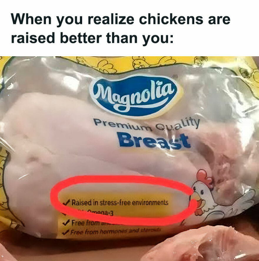 Daily Pictures. Part 2 (62 pics)