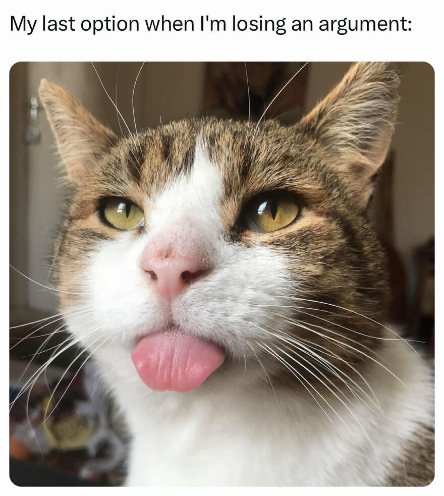 Daily Pictures. Part 2 (62 pics)