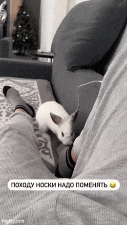 Acid GIFs, January 13 (25 gifs)